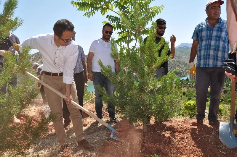 Rektör İpek, 15 Temmuz Hatıra Ormanı'na Fidan Dikti