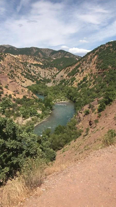 Munzur ve Pülümür Vadileri’nin "Kesin Korunacak Hassas Alan" İlan Edilmesi İçin "Ekolojik Temelli Bilimsel Araştırma Projesi" Başlatıldı