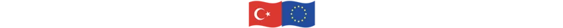 Türkiye'nin Nadir Toprak Elementleri Araştırma ve Yenilik Kapasitesinin Geliştirilmesi